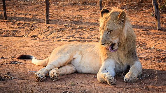 结婚时新娘要说什么 结婚时新娘说的话