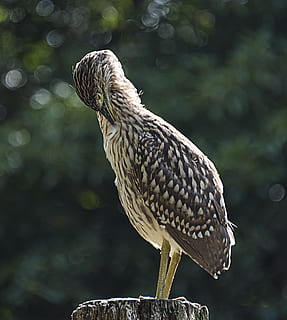 结婚给宾客回什么礼物 结婚的时候适合送给宾客的礼物都有哪些呢