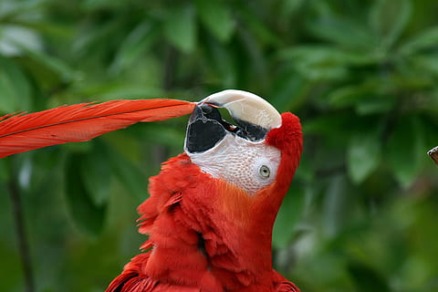 结婚包红包包多少钱 结婚红包送多少比较合适