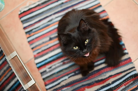 伴娘做些什么 伴娘要做些什么事?