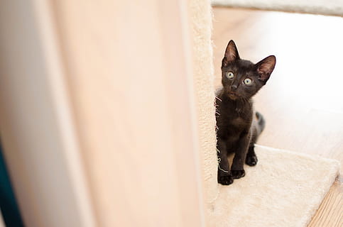 婚礼策划一般怎么选择