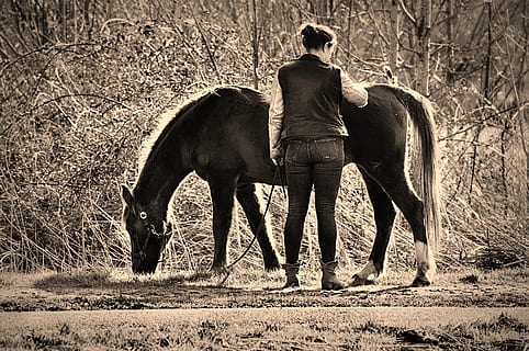 古代结婚请帖怎么写 古风婚礼请柬怎么写？？在线急