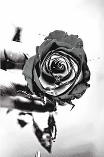 婚礼现场表演什么节目 婚礼表演什么节目比较好