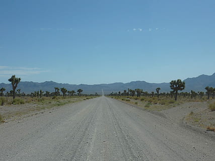 婚庆策划怎么开始做起 我想学习婚礼策划,要从哪开始呢?