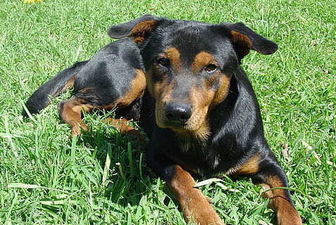 租借婚纱时应注意什么 租婚纱时需要注意什么？