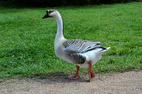 订婚穿什么 订婚穿什么好。