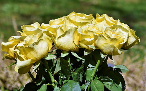 订婚时媒人要说什么 订婚时要说些什么话