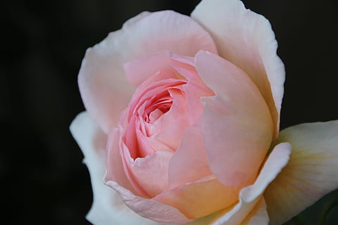 南京娶媳妇男方备什么 南京结婚前准备风俗