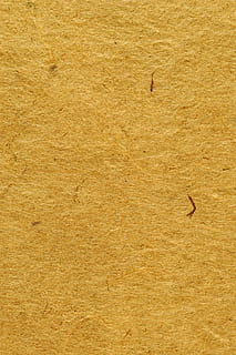 新娘出嫁有什么风俗 结婚当天都有什么习俗?