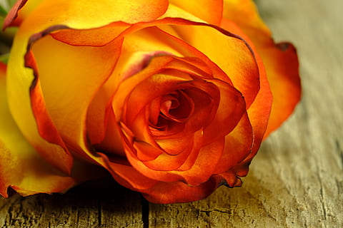 结婚怎么装扮房间 结婚的房间怎么布置?