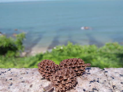 参加朋友婚礼怎么穿 参加朋友婚礼要穿什么衣服?