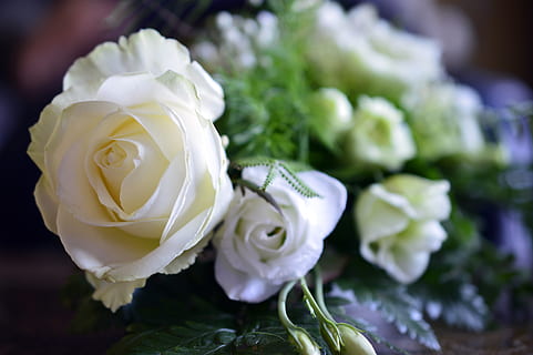 想结婚有什么歌曲下载