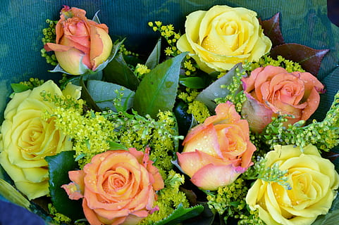 参加订婚宴不能穿什么 参加订婚宴有哪些注意事项