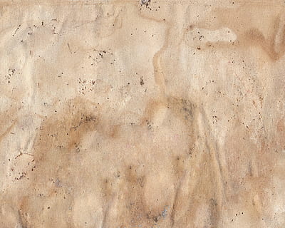 婚庆都用什么花 婚礼上用什么花