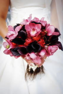 回门请帖怎么写 新娘回门请柬怎么写