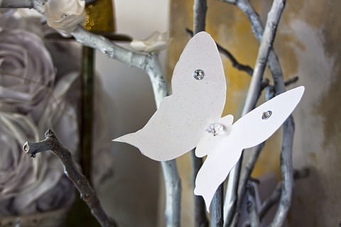 夏天男方结婚穿什么衣服吗 夏天结婚男的穿什么？