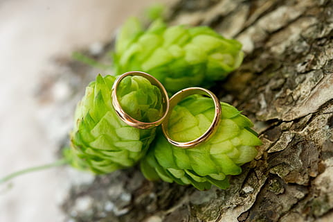 结婚给领导敬酒说什么 给领导敬酒说什么