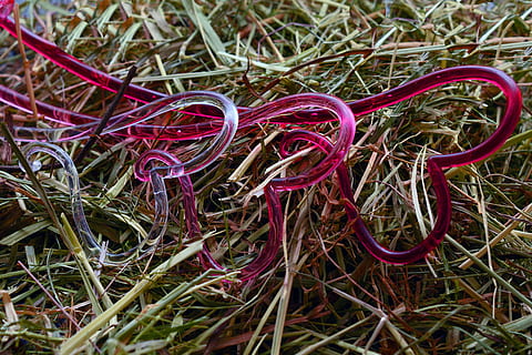 参加朋友婚礼穿什么鞋 参加别人婚礼穿什么衣服鞋子合适？