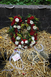 婚礼新人进场用什么歌曲 婚礼新人入场音乐哪些好 婚礼入场音乐推荐