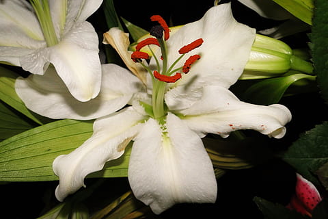 结婚酒席多少钱一桌 结婚酒席一般多少钱一桌？