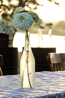 中式婚礼要准备什么 中式婚礼需要准备什么服装？