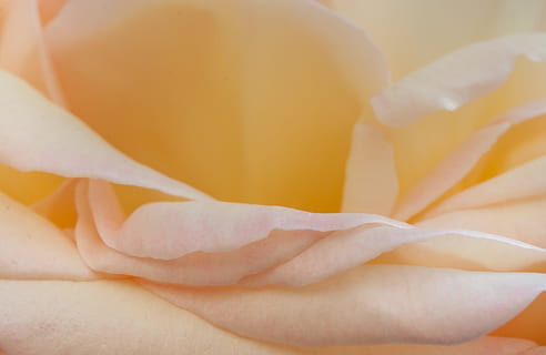 结婚时候的致辞是什么 结婚新娘致辞怎么写