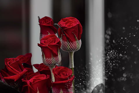 结婚礼金怎么送 结婚送礼怎么送?