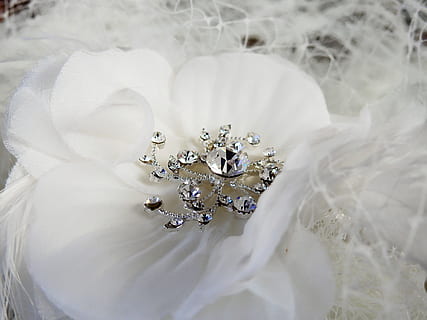 婚礼一桌备多少酒 婚宴一般一桌上几瓶酒呀,什么酒