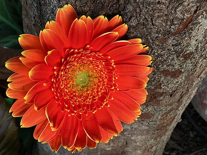 婚礼布置什么风格好看 婚礼布置，什么样的风格比较好呢？