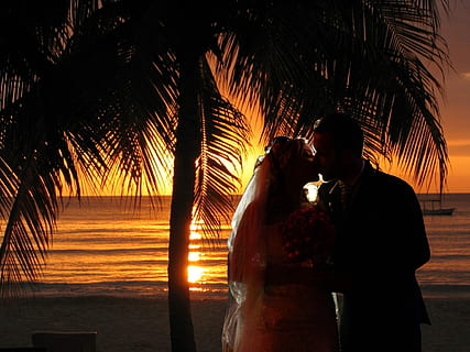 手捧花满天星什么寓意 满天星花语和寓意是什么？