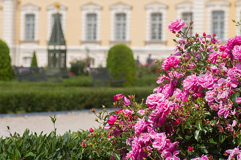订婚聘礼礼单怎么写 怎么写订婚礼单 订婚礼单格式