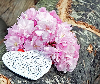 怎么写电子喜帖邀请函 电子请柬怎么写