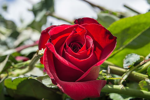 结婚一般放什么歌 适合结婚放的歌有哪些?