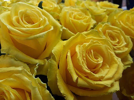 婚庆牌子怎么做