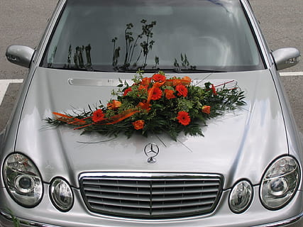 结婚送天鹅寓意是什么