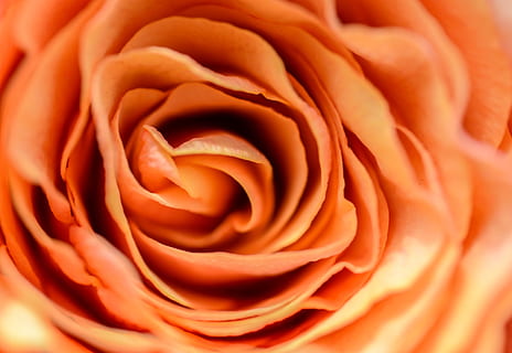 结婚用什么酒比较好 结婚用什么白酒比较好?