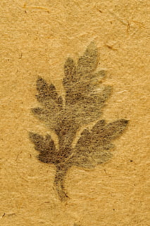 结婚送爸妈什么礼物好 结婚当天送双方父母什么礼物好？