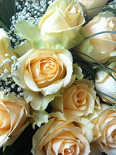 婚礼上的桌花布置一般多少钱 你们的婚礼场地布置费一般都多少钱