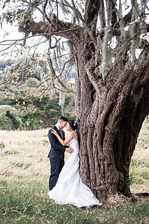 东北订婚彩礼怎么要求 订婚要给彩礼钱吗？东北有吗？多少合适呢？