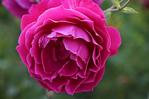 婚礼现场都需要准备什么 婚礼当天都要准备什么?