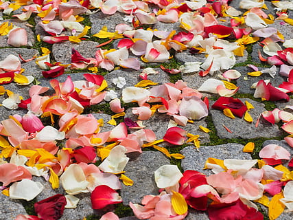 补办婚礼穿什么 简单吃个饭补办婚礼穿什么衣服