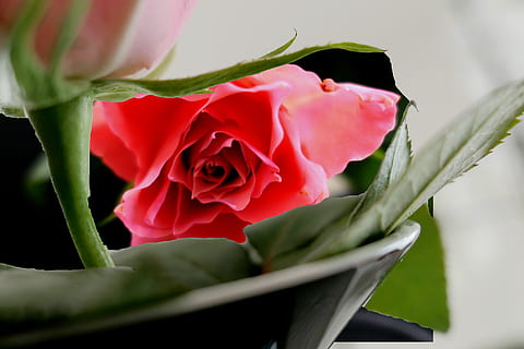 婚检要检查什么 婚检需要检查什么项目