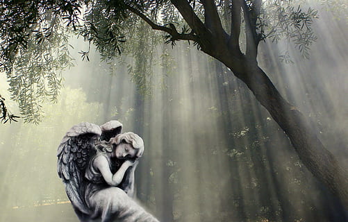 本人无配偶证明怎么开