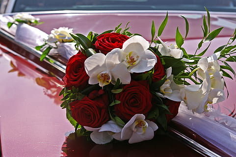 婚车上的花怎么固定图 婚车上的花是怎么固定到车上的