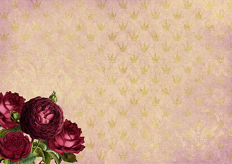 婚店需要些什么摆设 开婚庆店需要做些什么？从哪开始做？