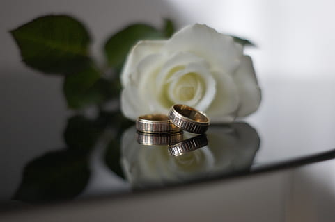 烟台婚宴怎么排座 怎样安排婚宴座位