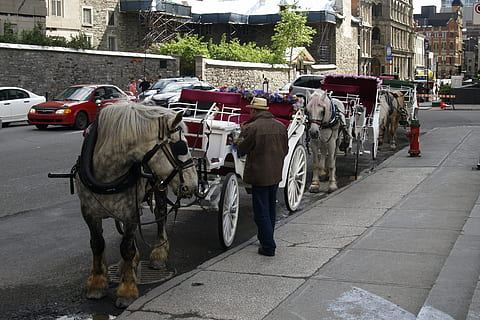 婚礼爸爸装穿什么 婚礼上父亲穿什么衣服 三大着装原则需谨慎