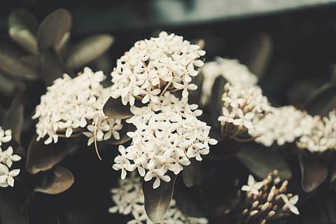 婚礼现场布置包括什么 婚礼现场布置都包括哪些