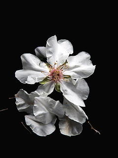 婚礼席位怎么安排 婚礼当天宾客座位怎么安排