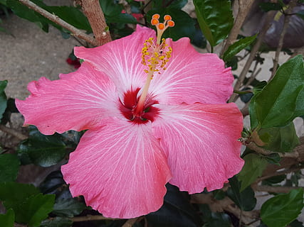 朋友结婚送什么实用